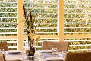 Pawprints - Corlette - 6