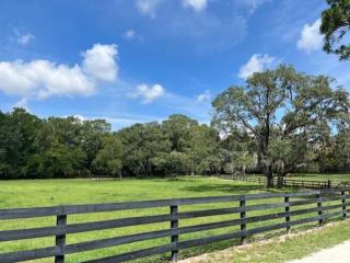 Double D Ranch - Ocala - 3