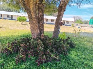 Ndiyona guesthouse kavango east - Rundu - 7
