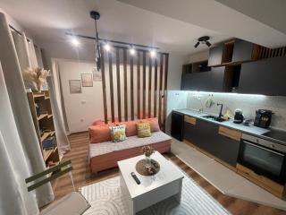 Veskovski-Apartment1 - 0