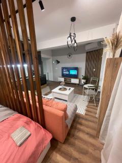 Veskovski-Apartment1 - 4