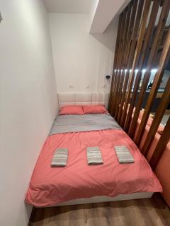 Veskovski-Apartment1 - 5