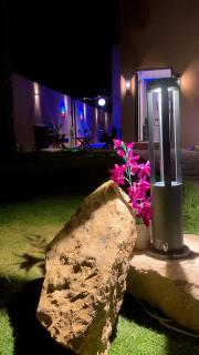 palm Oasis - Riyad - 8