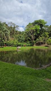 Finca El Encanto - Melgar - 6