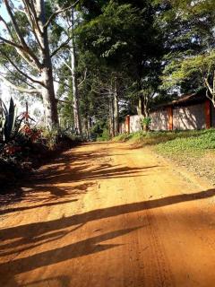 Chacara Redenção - Conceição dos Ouros - 6