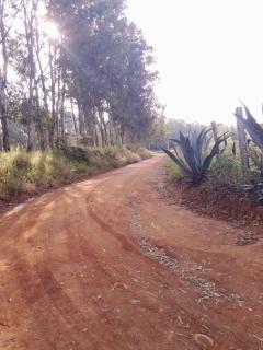 Chacara Redenção - Conceição dos Ouros - 4