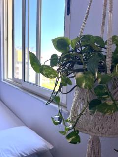 Unique Stay at Casa Gianni - 0