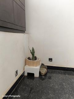 BELLA VISTA Homestay BNB - Zirakpur - 3
