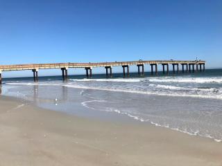 Pet-Friendly Home - 5 Min Walk to Beach, Office, Lanai - St. Augustine - 3