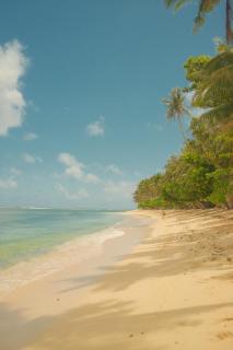 OCEAN 9 siargao - 6