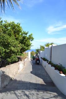 Schicciolina - Stromboli - 1