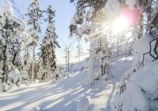 Hotelli Sodankylä - 3