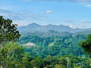 Ella Hillcrest Heaven-Free Pickup from Ella - Ella - 8