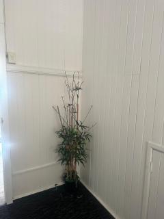 Lovely Private Rooms in a Great Location - Brisbane - 3