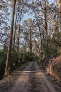 Cottage at Tall Trees - Toolangi - 6