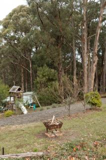 Cottage at Tall Trees - Toolangi - 5
