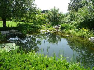 Gartenwohnung Mandl Garten Sauna Hot Pot Pool - Maishofen - 4