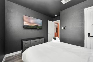 Melanin Majesty 2 Bd 1 Ba Near NRG DT and Med Cen - Houston - 5
