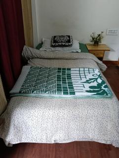 The Prasher Lodge Mall Road Manali - Manali - 9