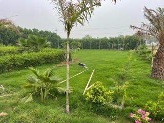 Rocopie Farm - 8