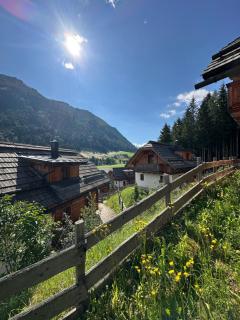 Bergdorf Riesner - Donnersbachwald - 9