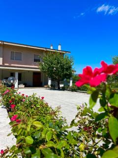 B&B Il Melograno - 8