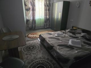 Casa Deluxe - Slănic-Moldova - 8