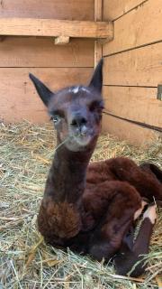 Pokoje Gościnne Jurgowianka - 7