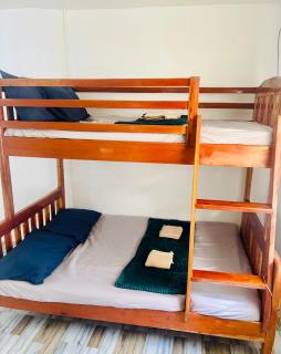 Cockatoo Room Rentals Siquijor - 3