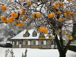 Haras de la Valterie - Saint-Hymer - 1