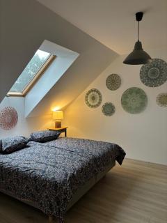 Biała Czapla - Augustów - 2