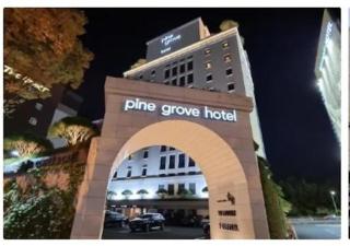Pinegrove Hotel - Gimhae - 8