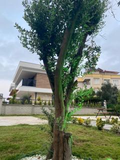 Yellice Apart - Kemer - 4
