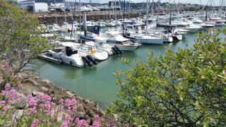 Les Camellias - La Baule - 1