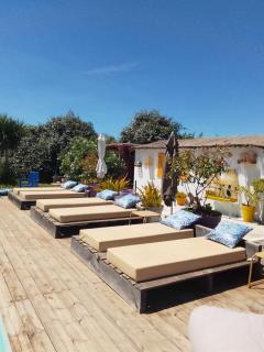 B&B La Terre Brûlée - Aigues-Mortes - 8