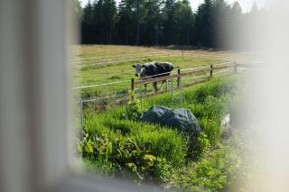 Härbre Cabin - Årjäng - 2