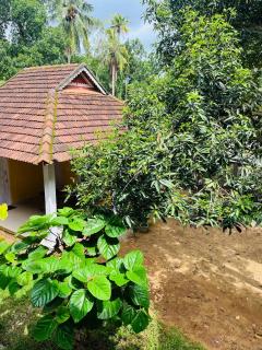 Villaggio Homey - Munroe Island - 8