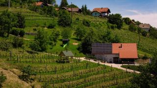 Vineyard cottage Škatlar 3 - 9