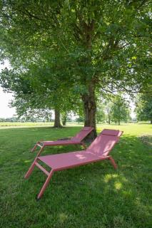 Huis ten Ham - Luxury country house in the Betuwe - - 2