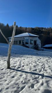 Villa & Spa Plaiul Foii - Sierra Blanca - 0