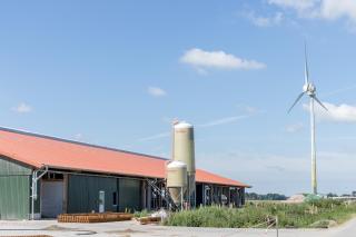 Friesenhof Janssen - Urlaub auf dem Bauernhof - Neuharlingersiel - 4