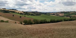 Affittacamere Flli Rossi - 3