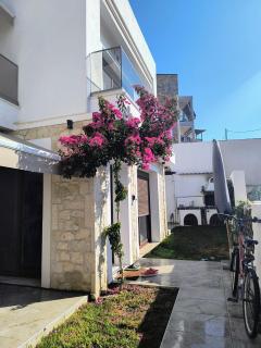 Momo's House - Nikiti - 6