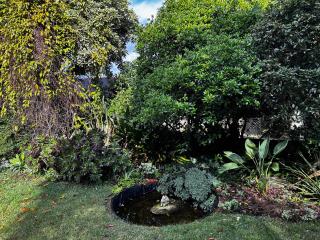 The Gables - Mount Gambier - 7