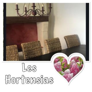 Les HORTENSIAS - 0