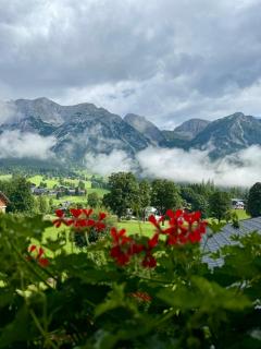 Pension Möslehnerhof - 5