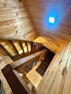 Forest hut - 3