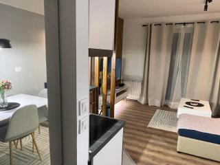 Veskovski-apartment in the center of Skopje - 7