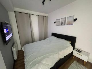 Veskovski-apartment in the center of Skopje - Skopje - 3