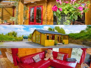 Red Robin Nest - 9